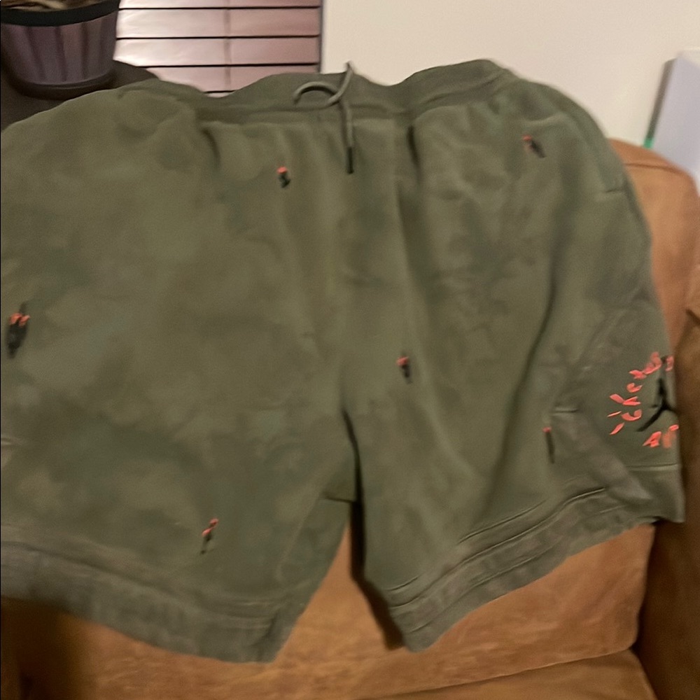 Olive Green Embroidered Shorts